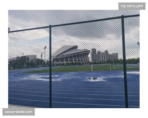 熊猫杯赛事成都举办多年 成城市体育文化名片